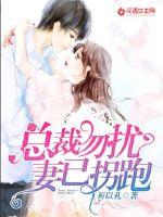 总裁勿扰，妻已拐跑